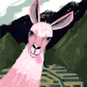 Meet your Posher, Addy